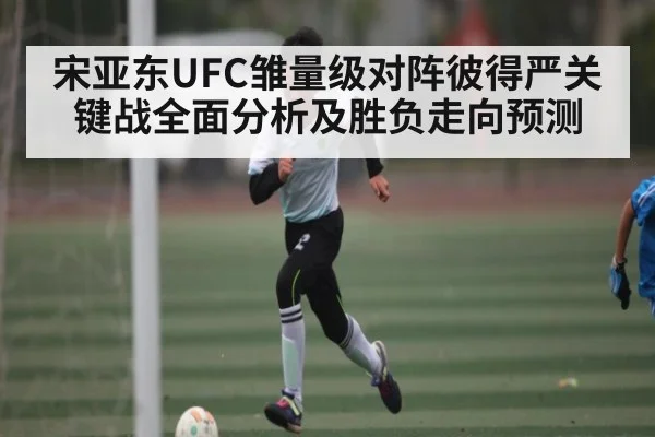 宋亚东UFC雏量级对阵彼得严关键战全面分析及胜负走向预测